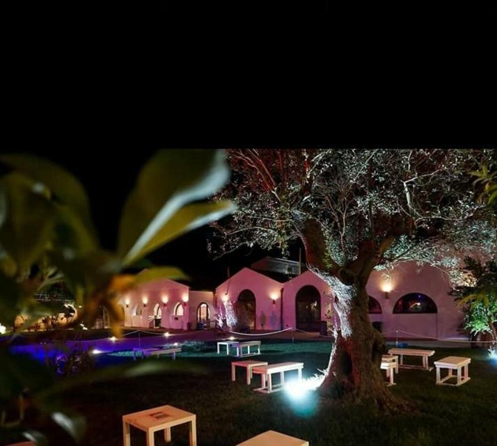 Masseria Colle Carro Ba07200451000019667 Altamura Exterior foto