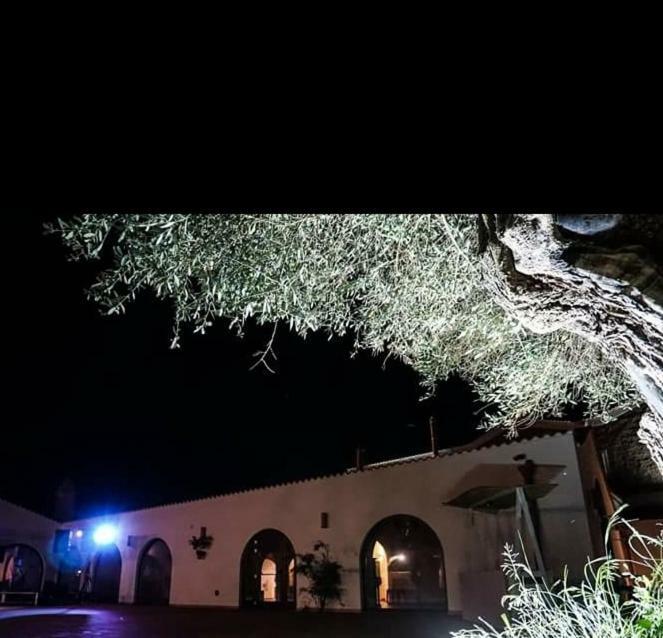 Masseria Colle Carro Ba07200451000019667 Altamura Exterior foto
