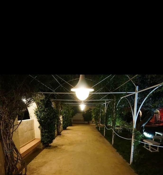 Masseria Colle Carro Ba07200451000019667 Altamura Exterior foto